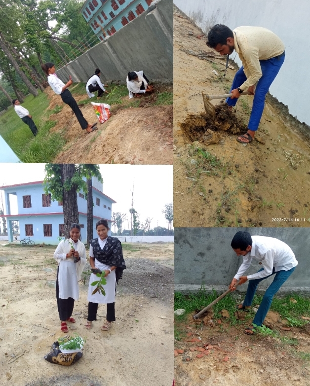 भानु जयन्तीको अवसरमा स्वच्छ हरियाली केएमसी अभियान सुरु ।