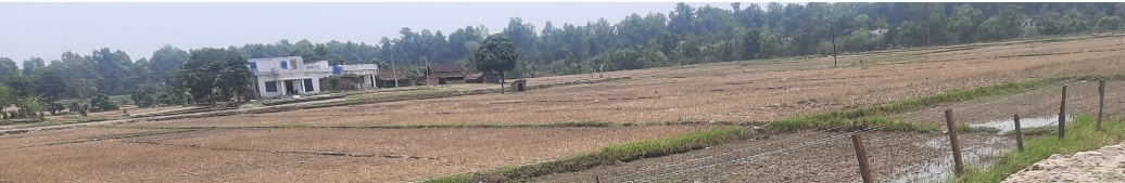 मंशिर २३ सम्म स्थानिय तहले जग्गा बर्गिकरण गरिसक्नुपर्ने ।