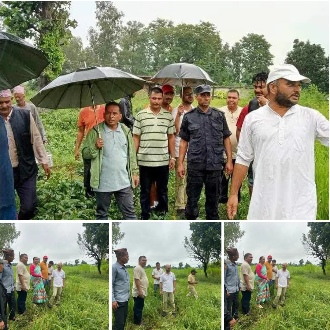 हात्तिले शुक्लफाँटाका धानमा क्षति पुर्याउन थालेपछि वनमन्त्रीले गरे अनुगमन, मेष वायर लगाउने प्रतिबद्धता