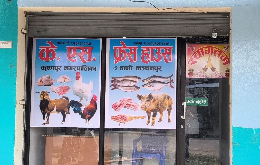 मतदाताले पत्याएका चौधरी, आय आर्जनका लागि फ्रेस हाउस संचालनमा ।