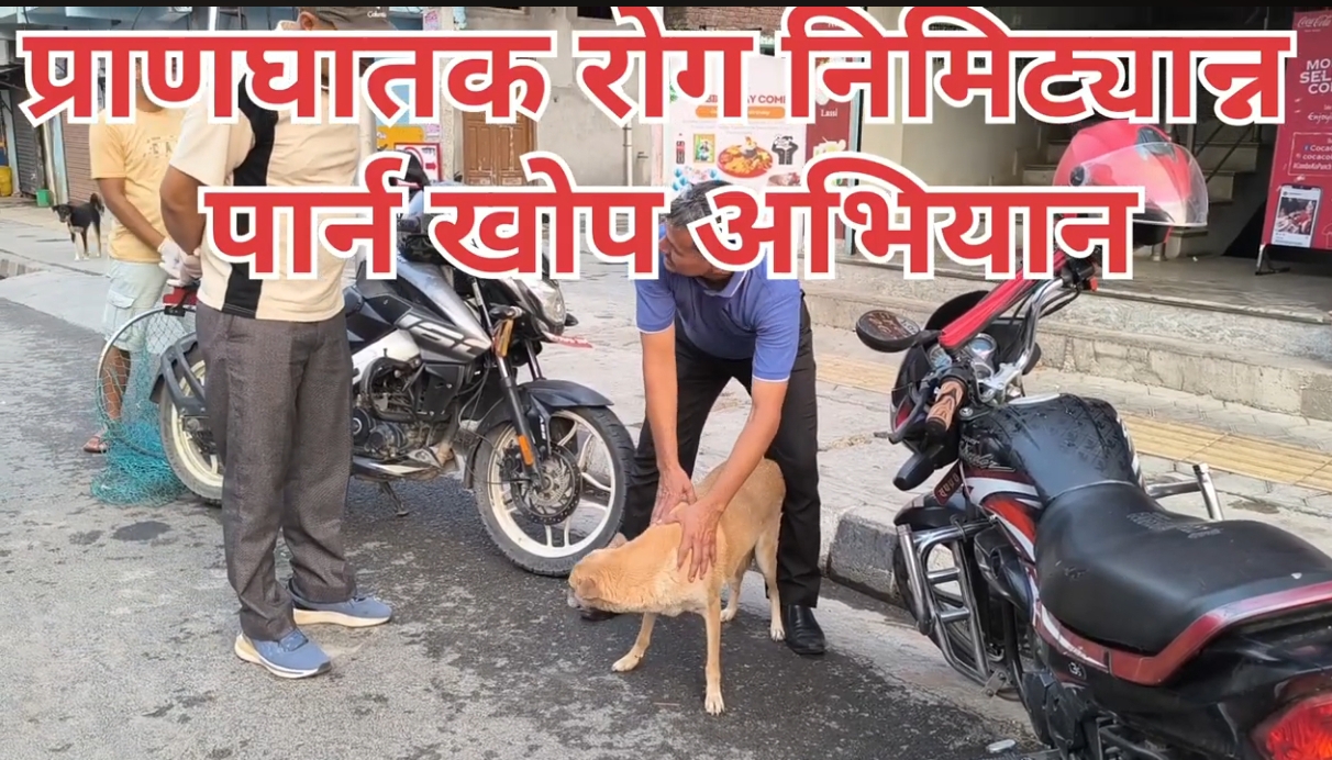 प्राणघातक रोग रेबिज निमिट्यान्न पार्न खोप अभियान सुरु