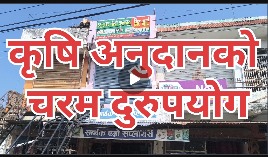 कृषि अनुदानको चरम दुरुपयोग, लगानी गरेको चार महिनासम्म खुलेन पसल, अनुगमनका दिन देखिए दुई कुखुरा ।