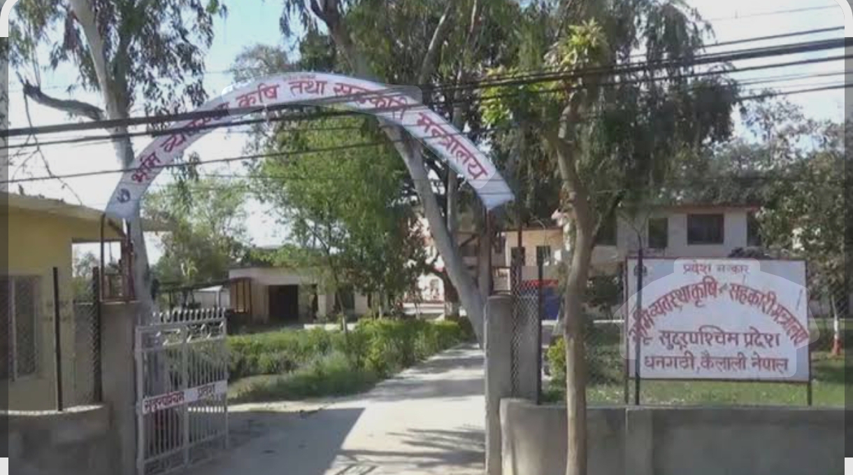 चिकित्सक बिना अस्पताल सञ्चालन गर्दै सुदूरपश्चिम सरकार । दरबन्दी भन्दा आधा कम प्राविधिक कर्मचारी ।