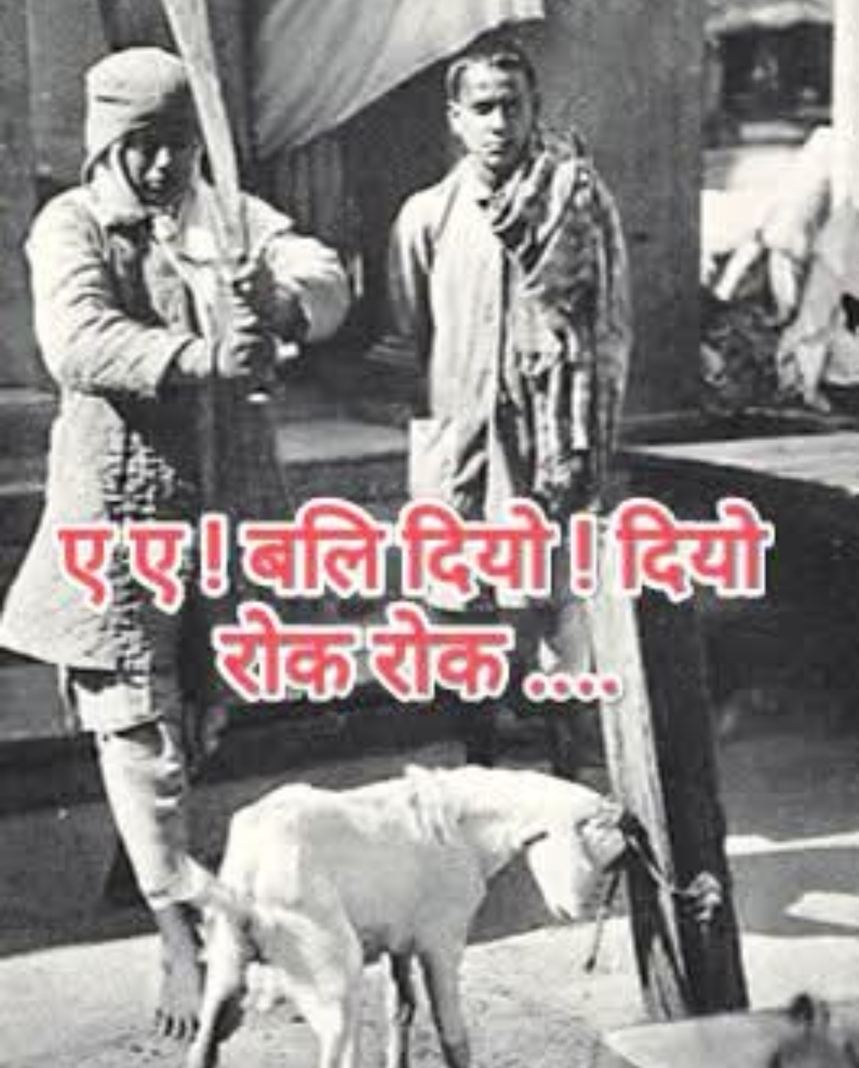 पशुबलि भ्रम र वास्तविकता