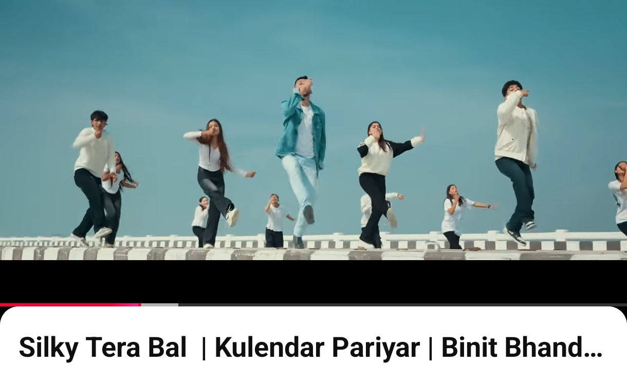 विनीत भण्डारीको सिल्की तेरा बाल सार्वजनिक