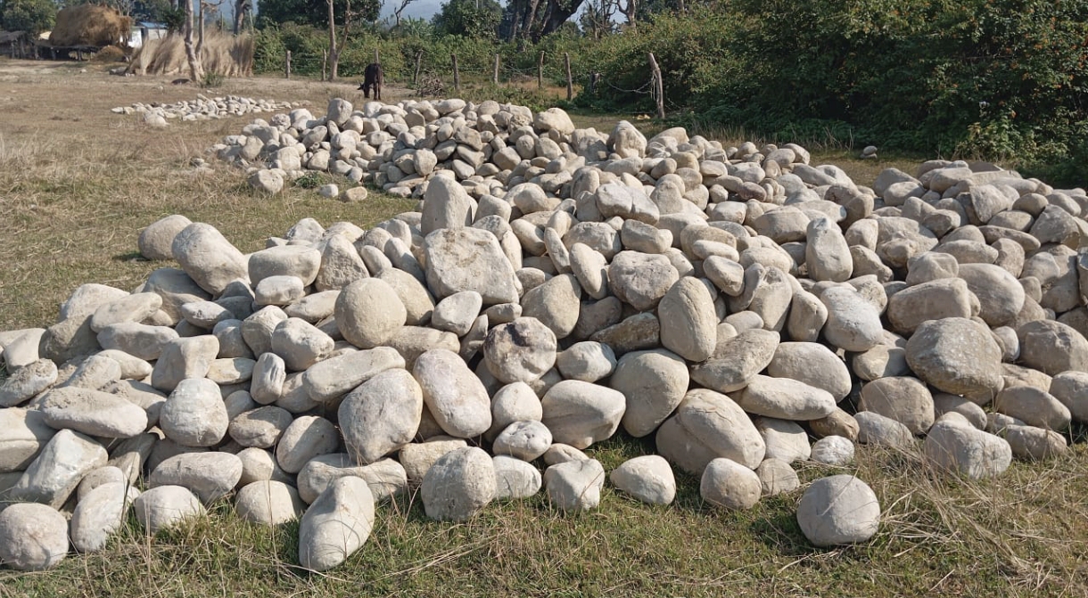 कञ्चनपुरको चुरे क्षेत्रमा व्यापक वन अतिक्रमण र तस्करीको आरोप, नियामक निकायकै मिलेमतो भएको स्थानीय बासिन्दाको दाबी