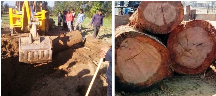 चाेरिकाे काठ बरामद गर्न जादा वन पदाधिकारिमाथि हसिया प्रहार, घाइते अस्पताल भर्ना ।