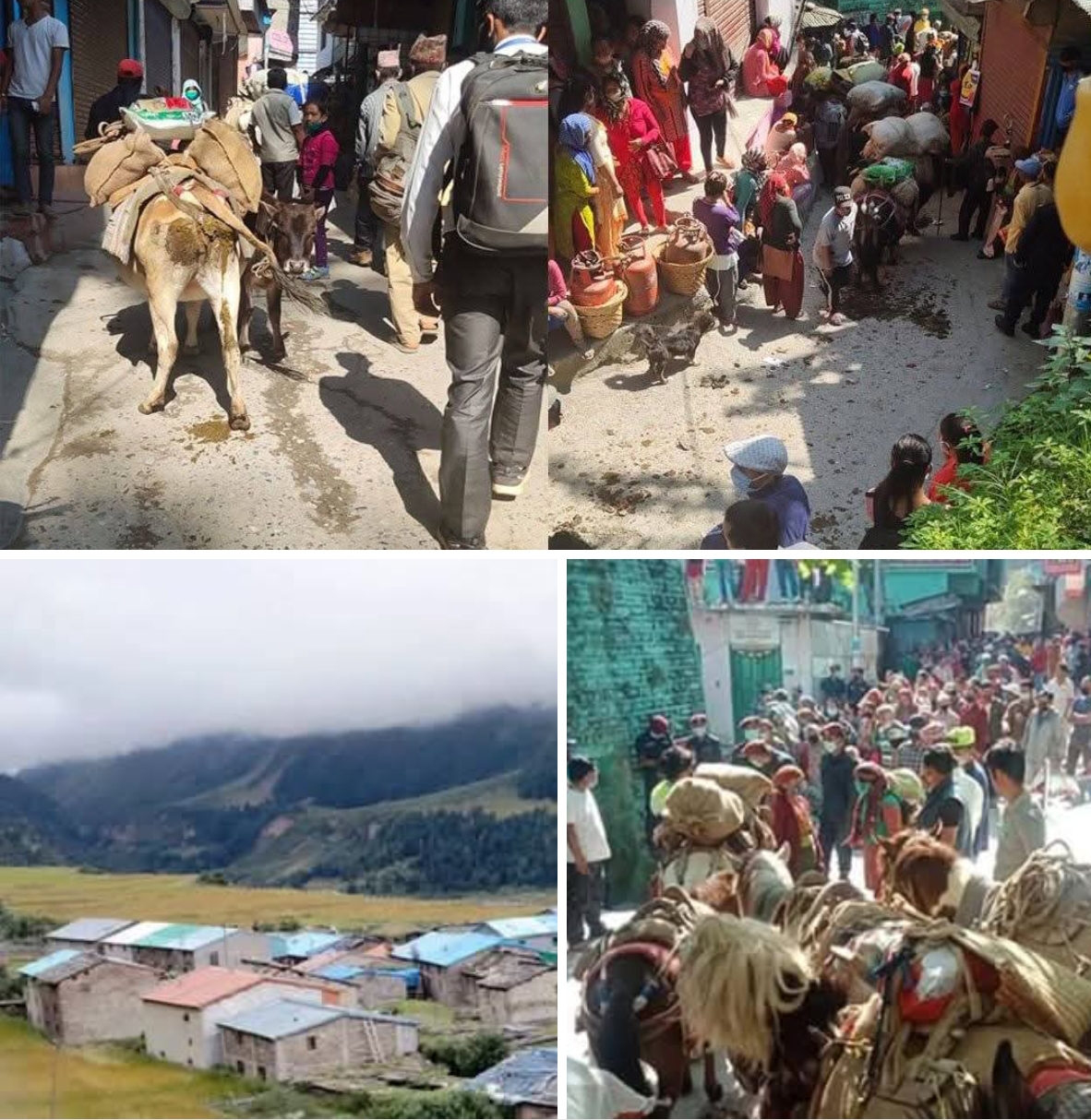 दार्चुलाको व्यास उपत्यकामा बसोबास गर्ने सौका जाति(व्याँसी) समुदायको मौसमी स्थान्तरण र कुञ्चा सर्ने प्राचीन ऐतिहासिक परम्परा