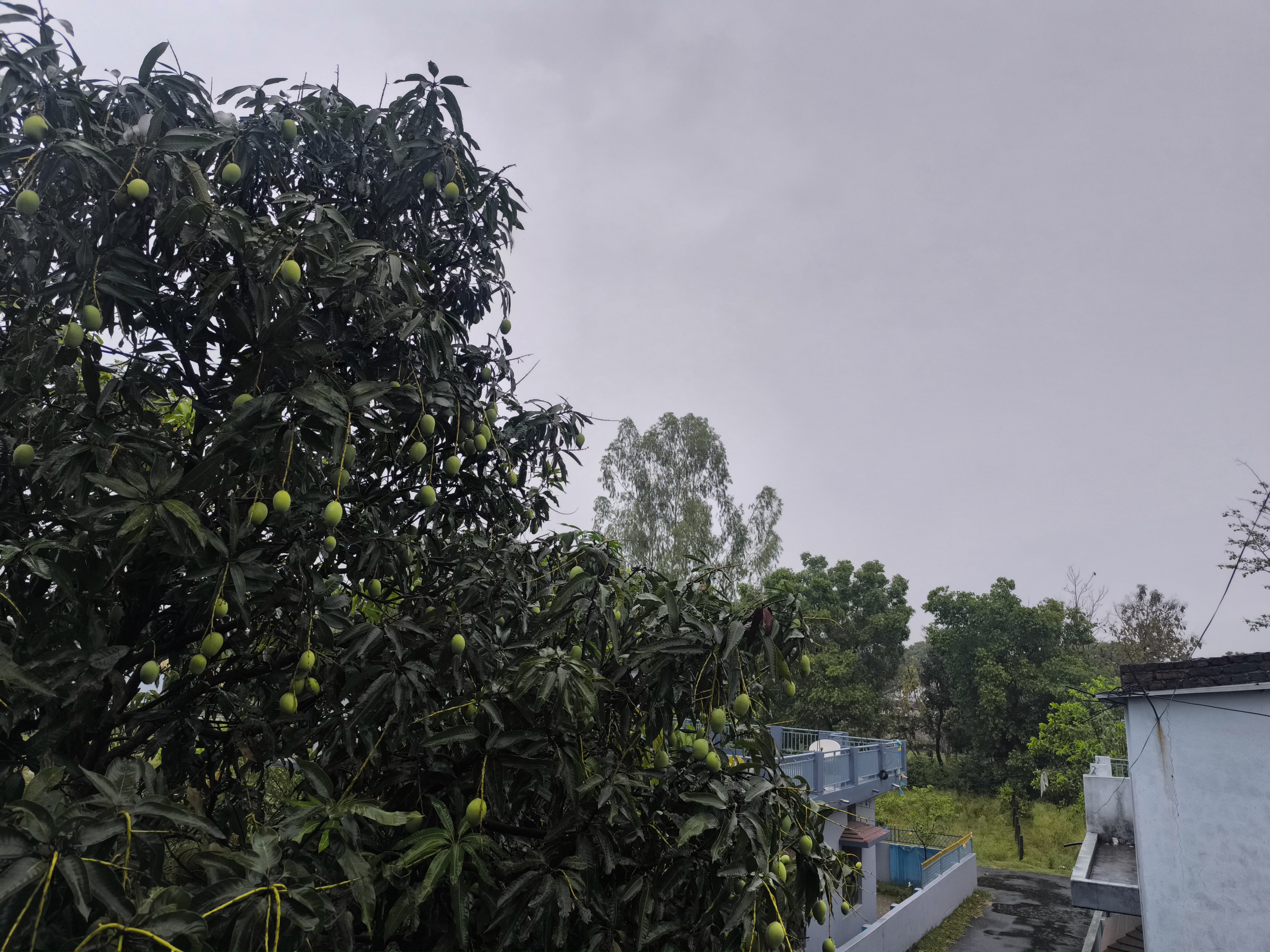 यस्तो हुनेछ आजको मौसम