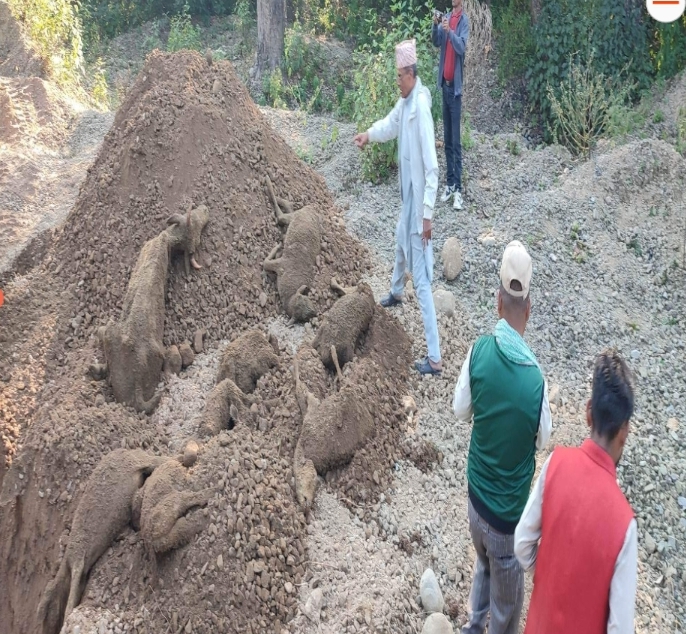 बेदकाेटमा चाैपायाकाे बेदना हुन सकेन समस्या समाधान ।