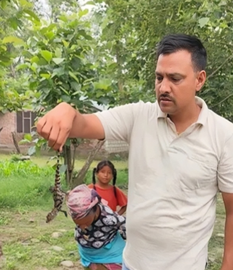 दाेधारा चाँदनी नगरमा गाेहिले काेरल्याे २७ बच्चा, स्थानिय त्रसित