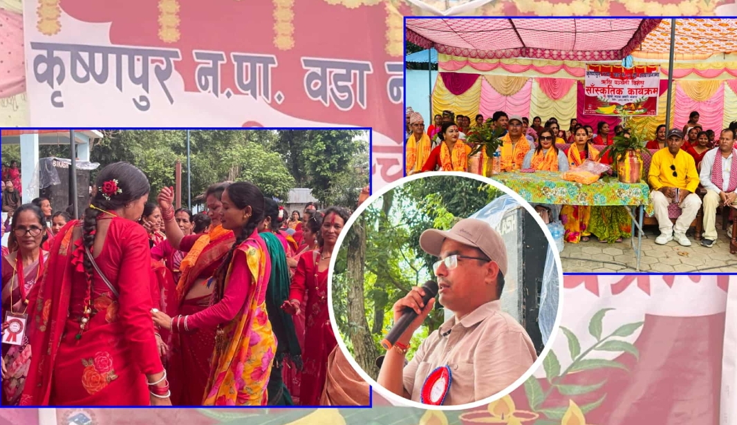 कृष्णपुरमा गौरा पर्वका विभिन्न कार्यक्रमहरू दैनिक गरिँदै
