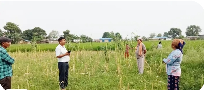 जंगली हात्तीले आतंक मच्चाएको बस्तीमा रास्वपाको स्थलगत अनुगमन : सरकार मुकदर्शक भएर बसेको आरोप