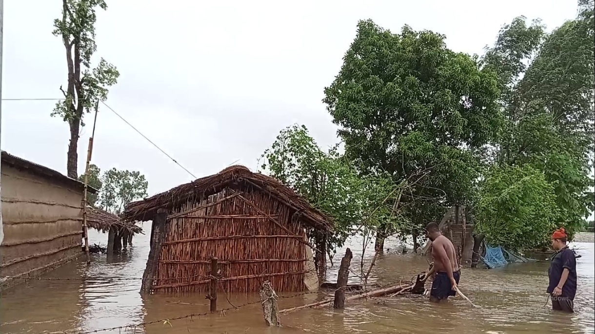 दोधारा चाँदनीको बाढी प्रभावित बस्तीमा सर्पको बिगबिगी