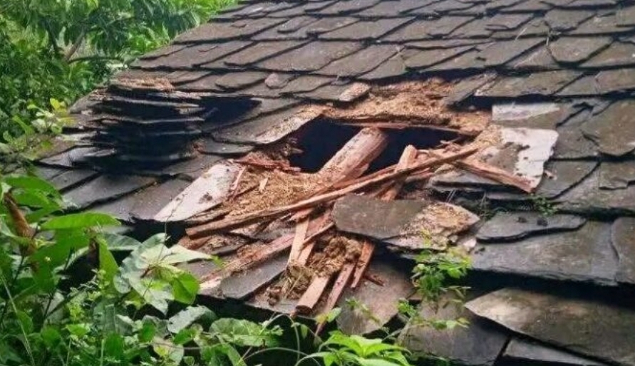 चाेरिकाे आराेपमा वडा सदस्य सहित ४ पकाउ