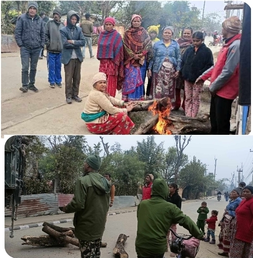 नेपाली सेनाकाे दाउराले ज्यान जाेगाउदै सुकुम्वासि बस्तिका मानिस